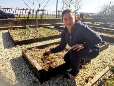 Zdravo povrće iz bašte bez motike