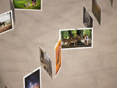 Danijel Bošnjak, pobjednik RuralFoto u kategoriji #proizvodnja