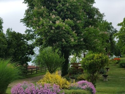 Student Danijel Prpoš pravi planove za oživljavanje seoskog turizma: Imanje će pretvoriti u turistički raj Student Danijel Prpoš pravi planove za oživljavanje seoskog turizma: Imanje će pretvoriti u turistički raj