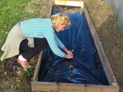 Danijela Rosman Danijela Rosman