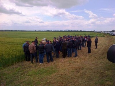 Syngenta zaradionica