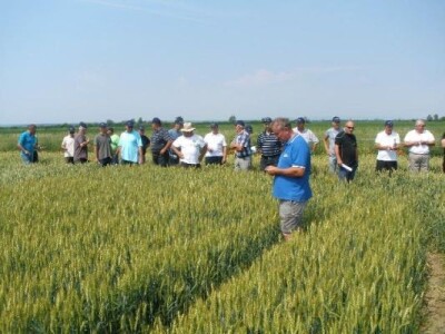 Syngenta zaradionica