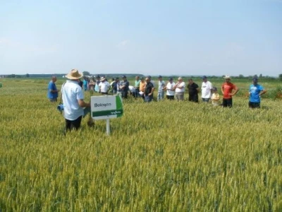 Syngenta zaradionica
