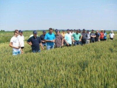 Syngenta zaradionica