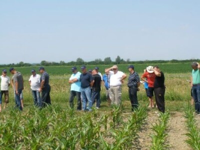 Syngenta zaradionica