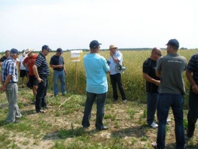 Syngenta zaradionica