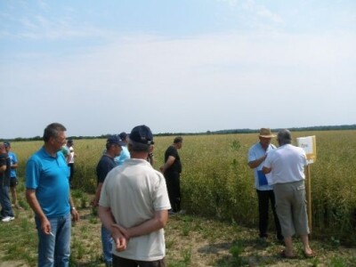 Syngenta zaradionica