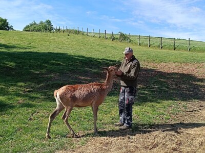 Darko Zovko, uzgoj divljači i lovni turizam