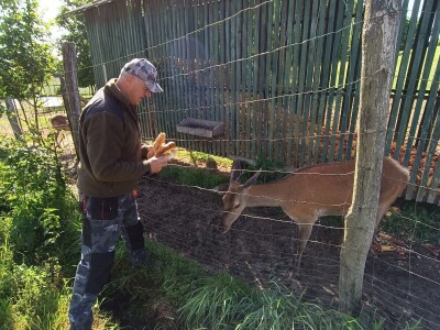 Darko Zovko, uzgoj divljači i lovni turizam