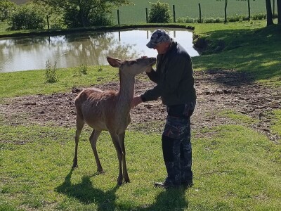 Darko Zovko, uzgoj divljači i lovni turizam