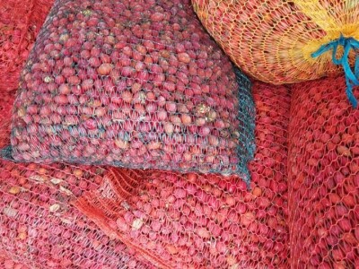 Dašak tradicije u proizvodima Zadruge ProVita