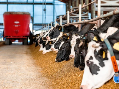 Davor Doko, razgovor s čelnikom Podravke Agri