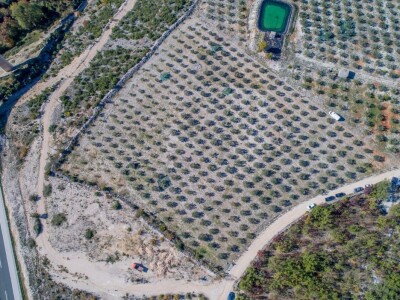 Davor Vasilj: Gorčina i pikantnost ulja ukazuju na nutritivne i zdravstvene vrijednosti maslinovog ulja