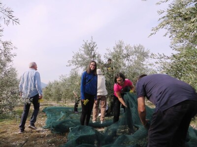 Davor Vasilj: Gorčina i pikantnost ulja ukazuju na nutritivne i zdravstvene vrijednosti maslinovog ulja