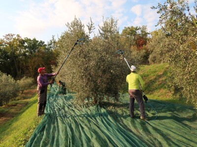 Dean Fabijančić Noćnjak