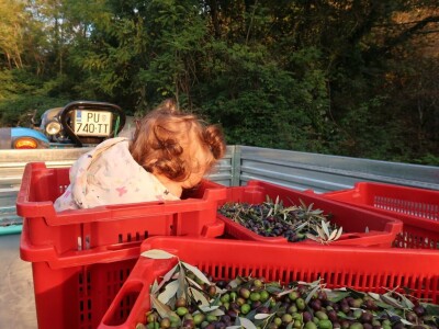 Dean Fabijančić Noćnjak