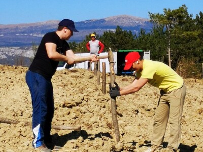 Dean Fabijančić Noćnjak