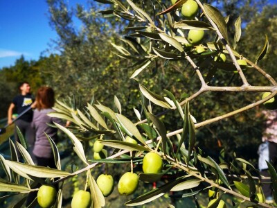 Dean Fabijančić Noćnjak