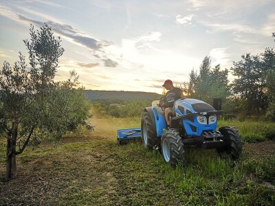 Dean Fabijančić Noćnjak