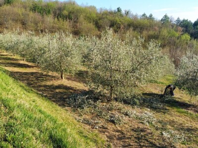 Dean Fabijančić Noćnjak
