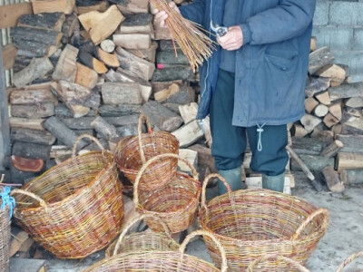 Vrbova šiba za košare