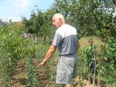 U vrtu uvijek ima posla