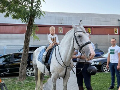 Defile prnjavorskih lipicanera ulicama grada
