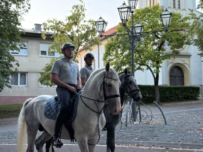 Defile prnjavorskih lipicanera ulicama grada