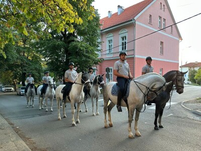 Defile prnjavorskih lipicanera ulicama grada