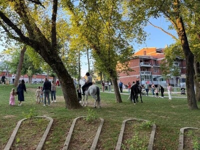 Defile prnjavorskih lipicanera ulicama grada