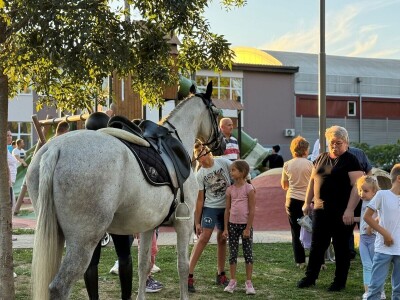 Defile prnjavorskih lipicanera ulicama grada