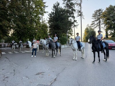 Defile prnjavorskih lipicanera ulicama grada