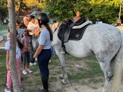 Defile prnjavorskih lipicanera ulicama grada