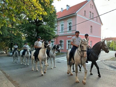 Defile prnjavorskih lipicanera ulicama grada