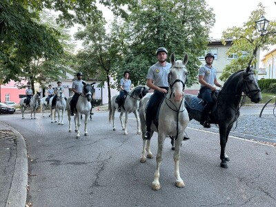 Defile prnjavorskih lipicanera ulicama grada