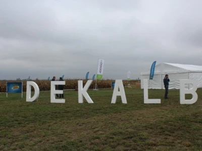 DEKALB Inovativni centar