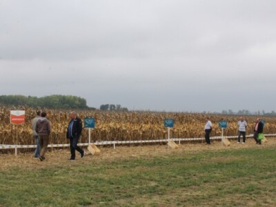 DEKALB Inovativni centar, Brođanci