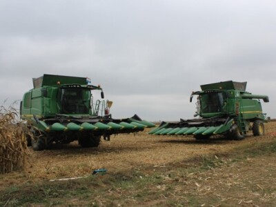 Izvršena i vršidba