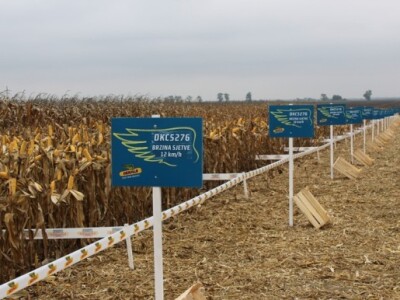 DEKALB Inovativni centar, Brođanci