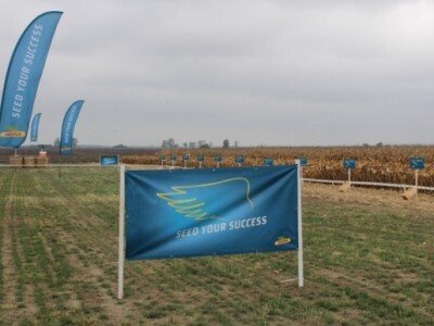 DEKALB Inovativni centar, Brođanci