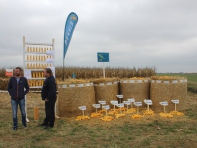 DEKALB Inovativni centar, Brođanci