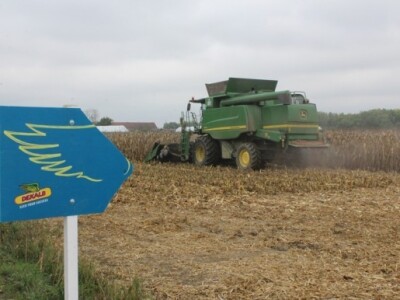 DEKALB Inovativni centar, Brođanci