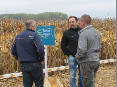 DEKALB Inovativni centar, Brođanci