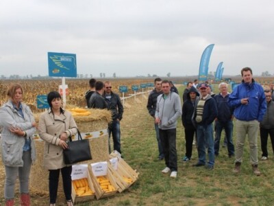 DEKALB Inovativni centar, Brođanci