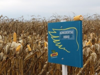 DEKALB Inovativni centar, Brođanci