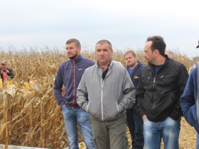 DEKALB Inovativni centar, Brođanci