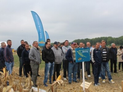 DEKALB Inovativni centar, Brođanci