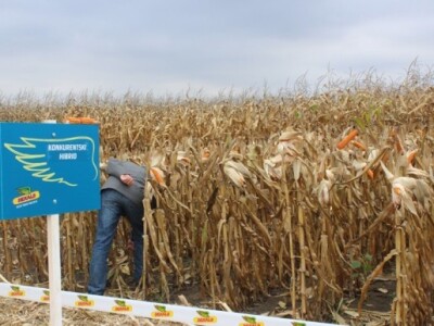 DEKALB Inovativni centar, Brođanci