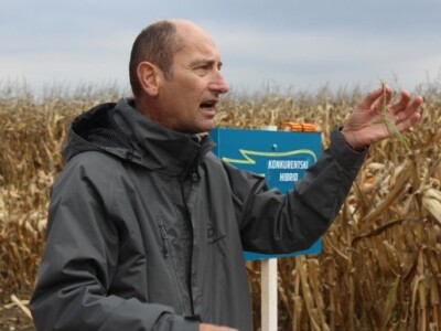 Nenad Arsenić, Bayer