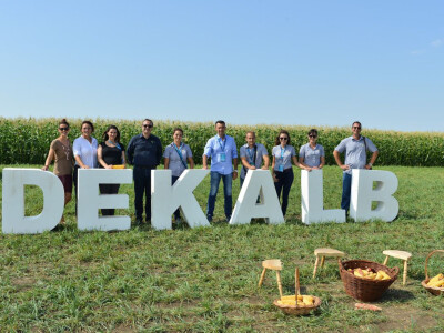 DEKALB Inovativni centar 2016.